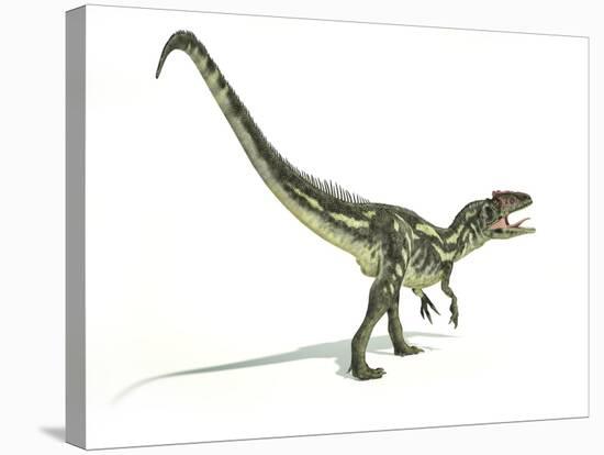 Allosaurus Dinosaur, Artwork-null-Stretched Canvas