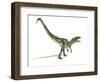 Allosaurus Dinosaur, Artwork-null-Framed Photographic Print