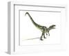 Allosaurus Dinosaur, Artwork-null-Framed Photographic Print