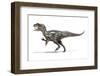 Allosaurus Dinosaur, Artwork-null-Framed Photographic Print