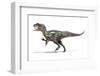 Allosaurus Dinosaur, Artwork-null-Framed Photographic Print