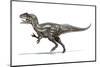 Allosaurus Dinosaur, Artwork-null-Mounted Photographic Print