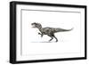 Allosaurus Dinosaur on White Background-null-Framed Art Print