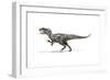 Allosaurus Dinosaur on White Background-null-Framed Art Print