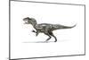 Allosaurus Dinosaur on White Background-null-Mounted Art Print