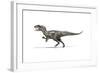 Allosaurus Dinosaur on White Background-null-Framed Art Print