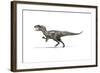 Allosaurus Dinosaur on White Background-null-Framed Art Print