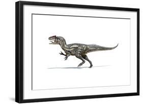 Allosaurus Dinosaur on White Background-null-Framed Art Print