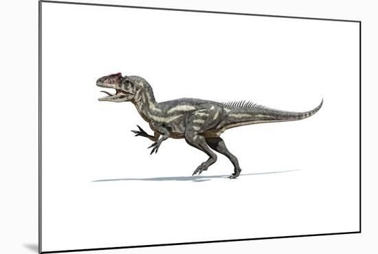 Allosaurus Dinosaur on White Background-null-Mounted Art Print