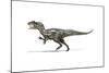 Allosaurus Dinosaur on White Background-null-Mounted Art Print