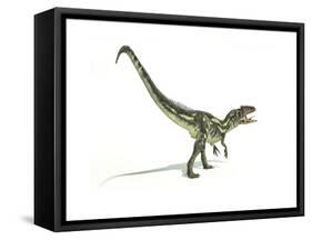 Allosaurus Dinosaur on White Background-null-Framed Stretched Canvas