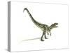 Allosaurus Dinosaur on White Background-null-Stretched Canvas