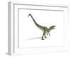 Allosaurus Dinosaur on White Background-null-Framed Art Print