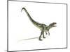 Allosaurus Dinosaur on White Background-null-Mounted Art Print