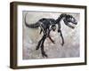 Allosaurus Dinosaur Skeleton-Stocktrek Images-Framed Art Print