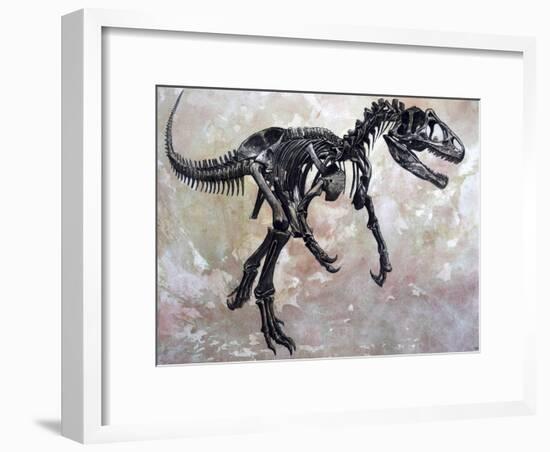 Allosaurus Dinosaur Skeleton-Stocktrek Images-Framed Art Print