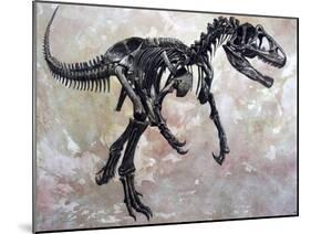 Allosaurus Dinosaur Skeleton-Stocktrek Images-Mounted Art Print