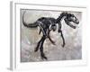 Allosaurus Dinosaur Skeleton-Stocktrek Images-Framed Art Print