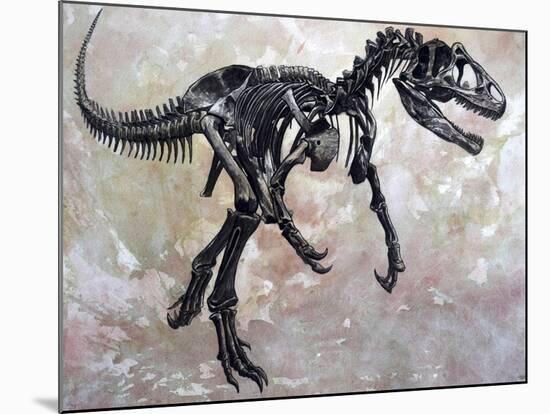 Allosaurus Dinosaur Skeleton-Stocktrek Images-Mounted Art Print