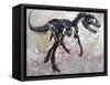 Allosaurus Dinosaur Skeleton-Stocktrek Images-Framed Stretched Canvas