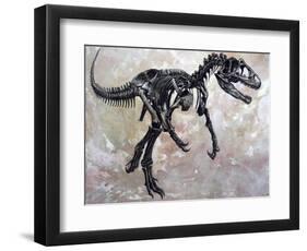 Allosaurus Dinosaur Skeleton-Stocktrek Images-Framed Art Print