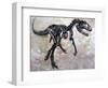 Allosaurus Dinosaur Skeleton-Stocktrek Images-Framed Art Print