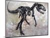 Allosaurus Dinosaur Skeleton-Stocktrek Images-Mounted Art Print