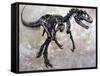 Allosaurus Dinosaur Skeleton-Stocktrek Images-Framed Stretched Canvas