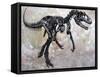 Allosaurus Dinosaur Skeleton-Stocktrek Images-Framed Stretched Canvas