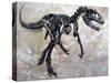 Allosaurus Dinosaur Skeleton-Stocktrek Images-Stretched Canvas