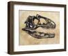 Allosaurus Dinosaur Skull-Stocktrek Images-Framed Art Print