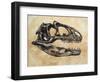 Allosaurus Dinosaur Skull-Stocktrek Images-Framed Art Print