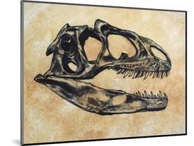 Allosaurus Dinosaur Skull-Stocktrek Images-Mounted Art Print