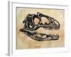 Allosaurus Dinosaur Skull-Stocktrek Images-Framed Art Print