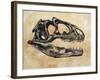 Allosaurus Dinosaur Skull-Stocktrek Images-Framed Art Print