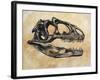 Allosaurus Dinosaur Skull-Stocktrek Images-Framed Art Print