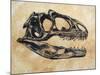 Allosaurus Dinosaur Skull-Stocktrek Images-Mounted Art Print