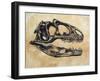 Allosaurus Dinosaur Skull-Stocktrek Images-Framed Art Print