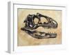 Allosaurus Dinosaur Skull-Stocktrek Images-Framed Art Print