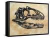 Allosaurus Dinosaur Skull-Stocktrek Images-Framed Stretched Canvas