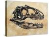 Allosaurus Dinosaur Skull-Stocktrek Images-Stretched Canvas