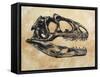 Allosaurus Dinosaur Skull-Stocktrek Images-Framed Stretched Canvas