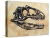 Allosaurus Dinosaur Skull-Stocktrek Images-Stretched Canvas