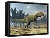 Allosaurus Dinosaur Walking Amongst Pachypteris Trees-Stocktrek Images-Framed Stretched Canvas