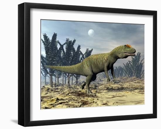 Allosaurus Dinosaur Walking Amongst Pachypteris Trees-Stocktrek Images-Framed Art Print