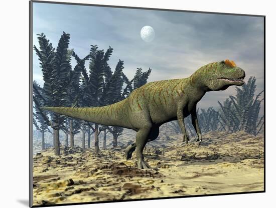 Allosaurus Dinosaur Walking Amongst Pachypteris Trees-Stocktrek Images-Mounted Art Print