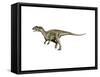 Allosaurus Dinosaur-null-Framed Stretched Canvas