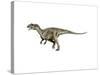Allosaurus Dinosaur-null-Stretched Canvas