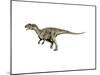 Allosaurus Dinosaur-null-Mounted Art Print