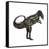 Allosaurus Dinosaur-Stocktrek Images-Framed Stretched Canvas